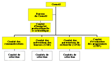 Figure 45 - Structure des comits du Conseil