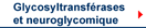 Glycosyltransfrases et neuroglycomique
