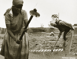 A woman tilling land next to a mine field. Photo by Giovanni Diffidenti.