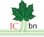 Logo pour l'Initiative canadienne sur les bibliothques numriques (ICBN) menant  leur site Web