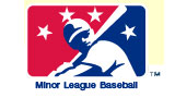 Rays Minor League Teams