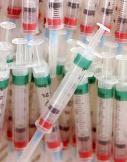 Syringes filled with flu vaccine. 