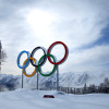 The 14 most fascinating facts about the final 2014 Winter Olympics medal count