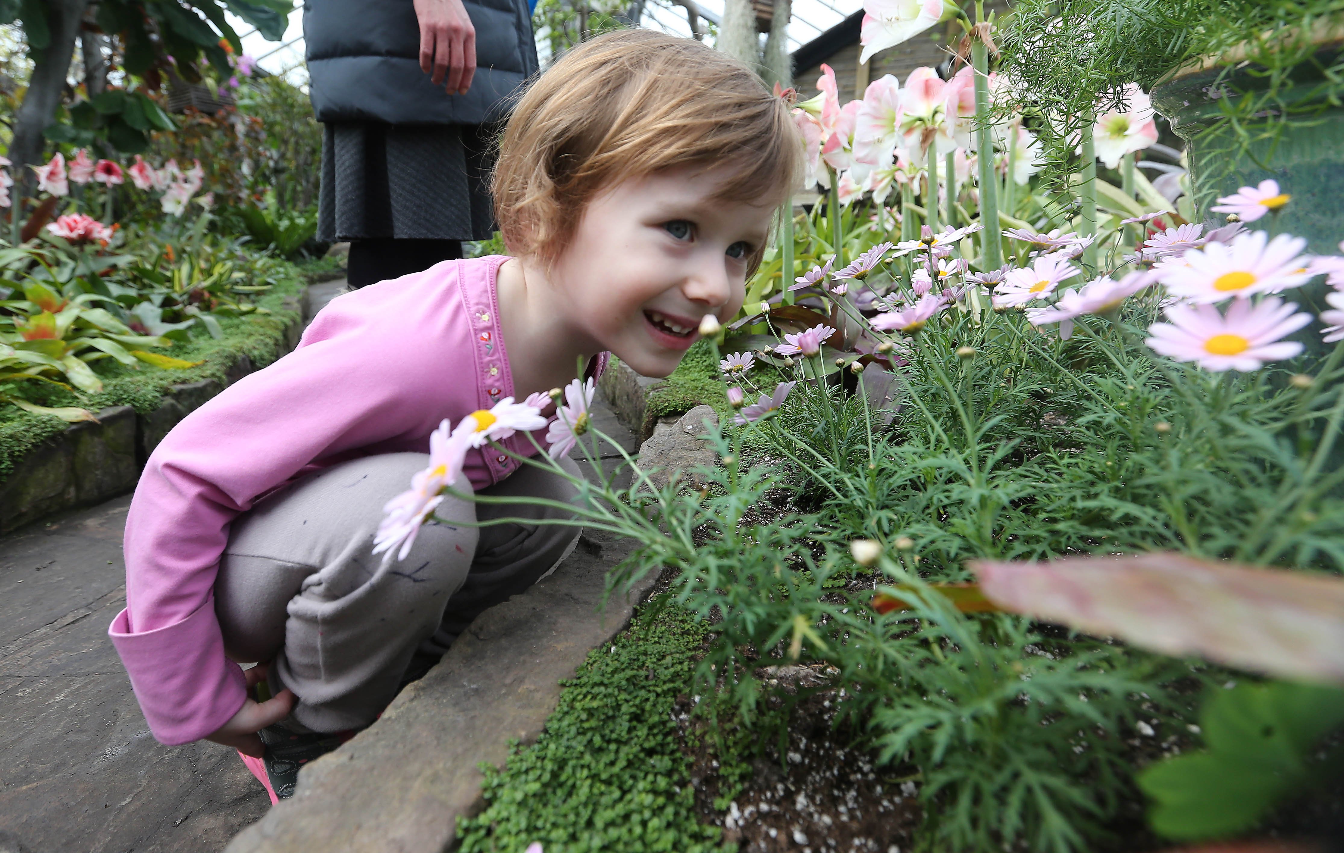 Alexandra Kisselev takes time to smell the flowers in Allan Gardens. You should, too. It's the first  day of spring. 