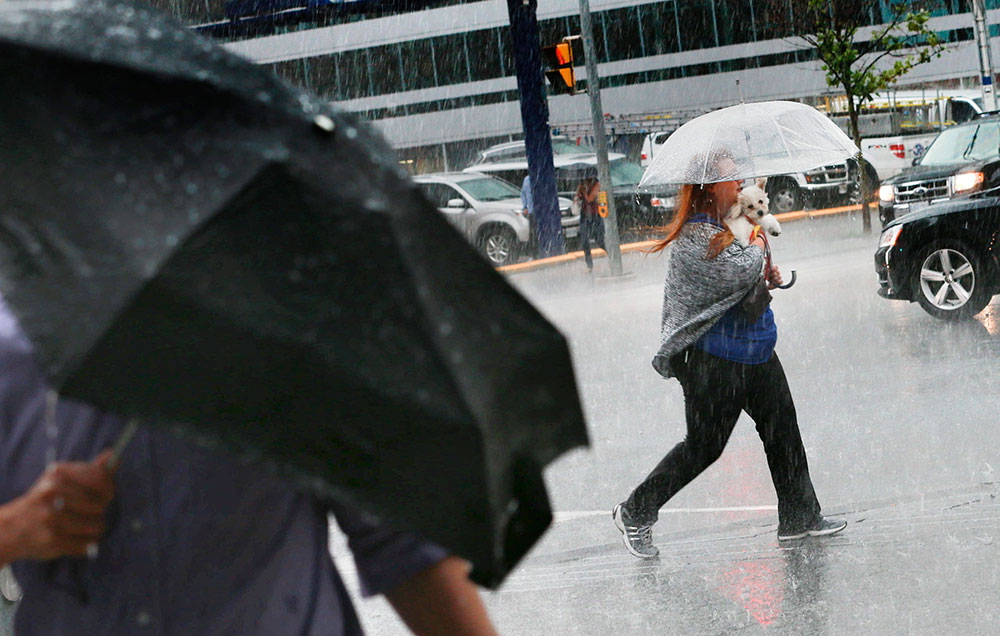 The city of Toronto could play host to scattered thunderstorms Thursday afternoon and evening, according to Environment Canada.