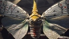 Bugs museum of nature sculpture ottawa exhibit