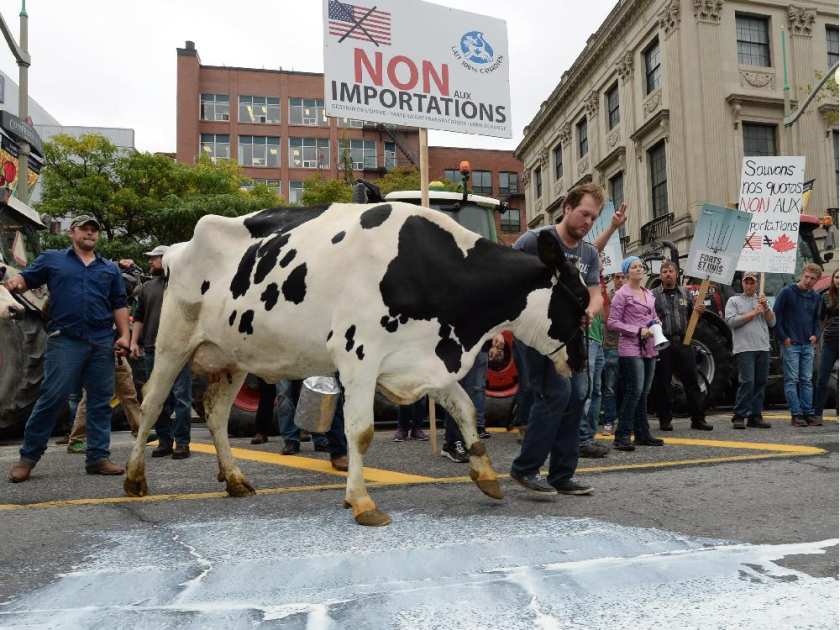 Dairy farmers take part in a protest in downtown Ottawa on Tuesday, September 29, 2015. Dozens of dairy farmers from Ontario and Quebec gathered on Parliament Hill to raise concerns about protecting Canada's supply management system in the Trans Pacific Partnership negotiations.