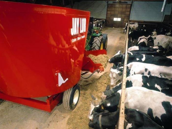 Des vaches se nourrissent à un distributeur de nourriture de Jaylor.