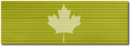 Canada Gold Ribbon.png