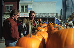 Shopping for pumpkins in Ottawa.jpg