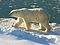 Polar Bear 2004-11-15.jpg