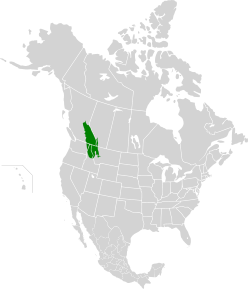 North Central Rockies forests map.svg