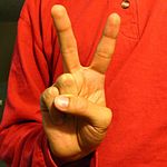 ASL sign for the number 2