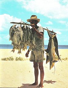 Fisherman and his catch Seychelles.jpg