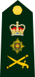 Cdn-Army-Gen(OF-9)-2014.svg