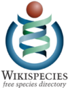 The current Wikispecies logo
