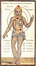The body is a composite of elements