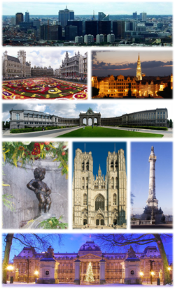 A collage with several views of Brussels, Top: View of the Northern Quarter business district, 2nd left: Floral carpet event in the Grand Place, 2nd right: Brussels City Hall and Mont des Arts area, 3rd: Cinquantenaire Park, 4th left: Manneken Pis, 4th middle: St. Michael and St. Gudula Cathedral, 4th right: Congress Column, Bottom: Royal Palace of Brussels