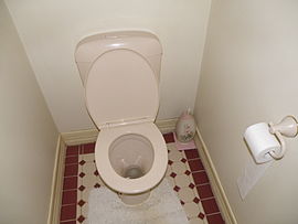 A typical flush toilet in a home in Australia, with common accessories: a dispenser for toilet paper and a toilet brush in its holder