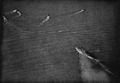 Derfflinger with U-boats.jpg