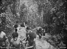 Papuan men in native dress carry a wounded soldier on a stretcher up a steep track surrounded by dense jungle