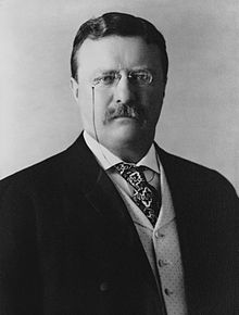 Image of President Theodore Roosevelt.
