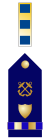 US CG CW2 insignia.svg