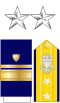 US CG O8 insignia.svg