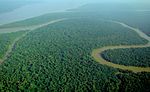 Amazon Rainforest, aerial view. Part of the Amazon River, Solimões, is visible.