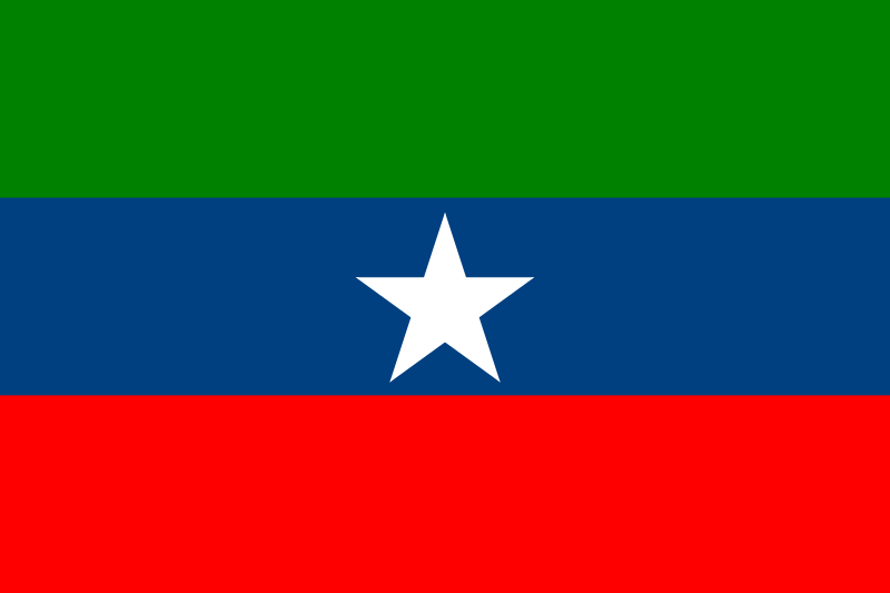 File:Flag of Ogaden National Liberation Front(2).svg