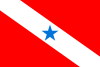 Flag of State of Pará