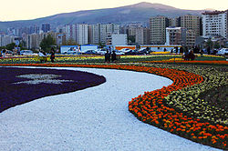 Iran-Photo of beautiful flowers in the city of Urmia.jpg