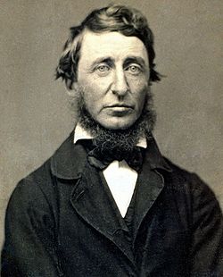 Benjamin D. Maxham - Henry David Thoreau - Restored.jpg