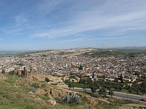 View of the medina (old city) of Fez