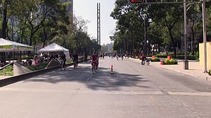 File:Mexico City Cycling.webm