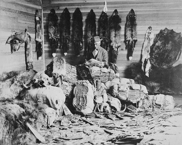 File:Alberta 1890s fur trader.jpg