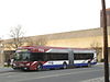 Pioneer Valley Transit Authority University of Massachusetts Transit New Flyer Xcelsior articulated bus.jpg