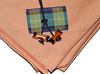 scout wood badge bead and neckerchief