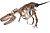 FMNH Daspletosaurus White Background.jpg