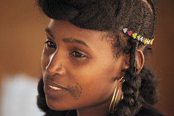 Fulani Woman from Niger.jpg