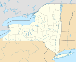Auriesville, New York is located in New York