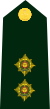 Cdn-Army-Lt(OF-1A)-2014.svg