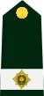 Cdn-Army-OC-2014.svg