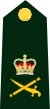 Cdn-Army-LGen(OF-8)-2014.svg