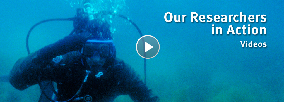 Text: Our Researchers in Action. Videos. Play. Image: Scientist Kathy Conlan underwater.
