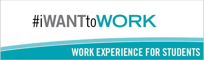 Tab 2: Federal Student Work Experience Program