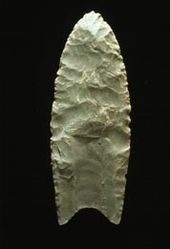 A Clovis blade with medium to large lanceolate spear-knife points. Side is parallel to convex and exhibit careful pressure flaking along the blade edge. The broadest area is near the midsection or toward the base. The Base is distinctly concave with a characteristic flute or channel flake removed from one or, more commonly, both surfaces of the blade.  The lower edges of the blade and base is ground to dull edges for hafting. Clovis points also tend to be thicker than the typically thin latter stage Folsom points. Length: 4–20 cm/1.5–8 in. Width: 2.5–5 cm/1–2