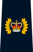 RCMP Staff Sergeant Major.png