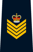 RCMP Sergeant Major.png