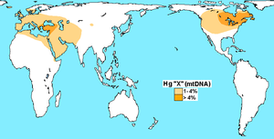 Haplogroup X (mtDNA).PNG